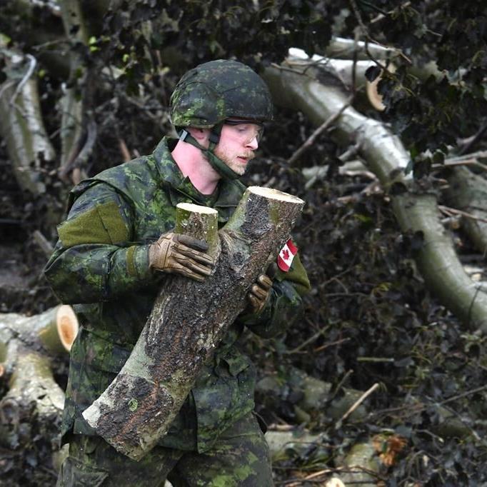 Fiona damage 'nowhere near as severe' after $40M cost of earlier storms: Parks Canada